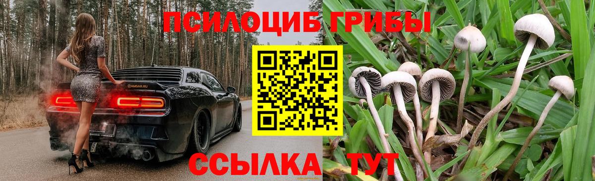 Ефремов  Псилоцибиновые грибы прущие грибы  Вход с VPN 